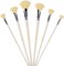 6 PCS Fan Brush Set – Hog Bristle, Anti-Shedding Brushes for Acrylic, Watercolor & Oil Painting with Case